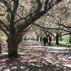 Absconded With the Bag: April 2021