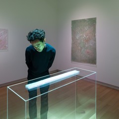 Liquid Body 09 Healer Skins