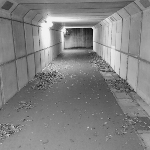 escapism(Recorded Dec. '13)