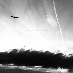 Mirza Ramic - Letting Go