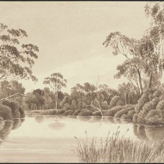 The Tale of Willie Wimmera