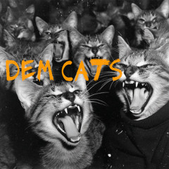 DEMCATZ BEAT
