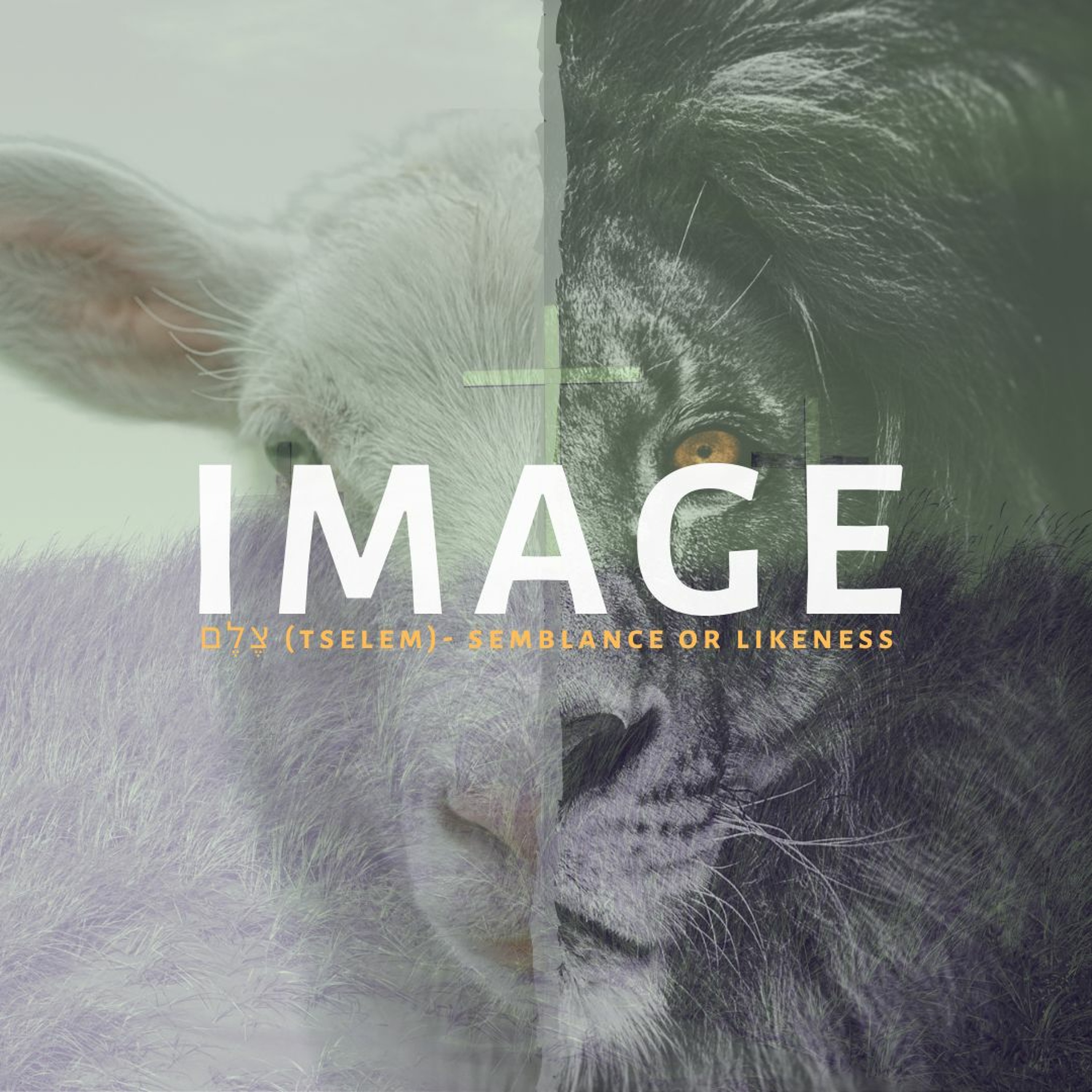 Genesis 4 | Sin Always Stems from the Heart | Jeremy Cobb (01.17.2021) episode artwork