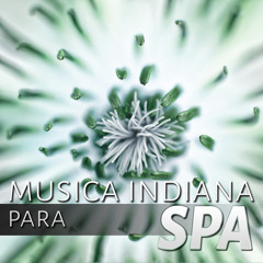 Musica Indiana para Spa