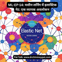 ML-EP-14_ मशीन लर्निंग में इलास्टिक नेट_ एक व्यापक अवलोकन