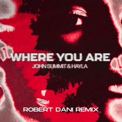 John Summit & Hayla - Where You Are (Robert Dani Remix)
