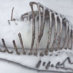 сердце#гниёт