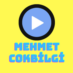 Mehmet Cokbilgi - 040124