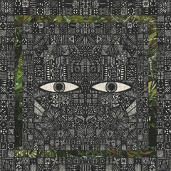 PREMIERE : The Vision Reels - Chrysanthemum [Kizen Records]