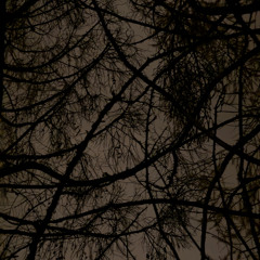 as usual, the eternal november