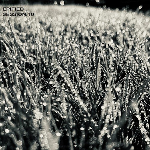 Epified Session.10