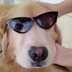 MONDAYMIX_16_06_2025