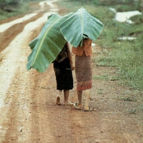 راح أمشي معاك للأخر*