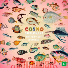 Cosmo Sheldrake - Birthday Suit (Jimmy Lazy Bootleg)