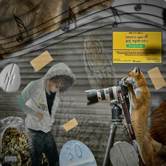 Diary pill prod stoopidxool & mexikodro
