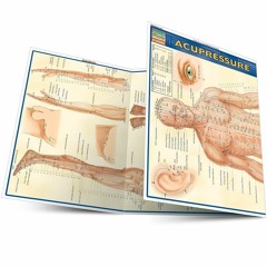 Read Acupressure (Quick Study Academic Outline) Free Download And Read Online