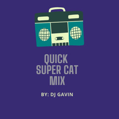 QUICK SUPER CAT MIX