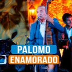 MIX - PALOMO ENAMORADO - AGUA MARINA - DJ ANTHONY - 2020