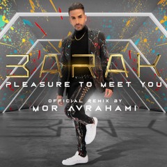 BARAK - Pleasure To Meet You (Mor Avrahami Remix)
