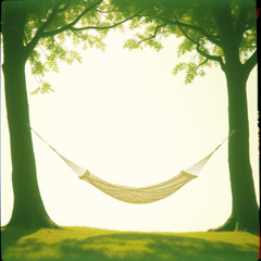 August Sunshine Song