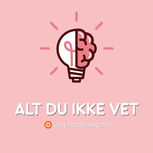 Alt du ikke vet #2: Hva er klimaangst?