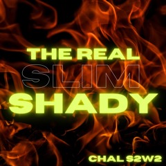 The Real Slim Shady (clean)