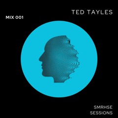 Vizualize Mint Festival DJ Competition 2024 - Summerhouse Sessions 001 - Ted Tayles