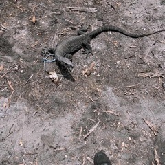 Riddim, bassline, garage n dat