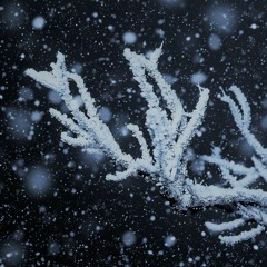 Awake (Christmas Piano)