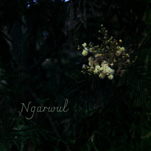 Ngarwul