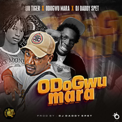 Odogwu Mara (feat. DJ Daddy Spet)