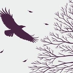 Something for Nothing