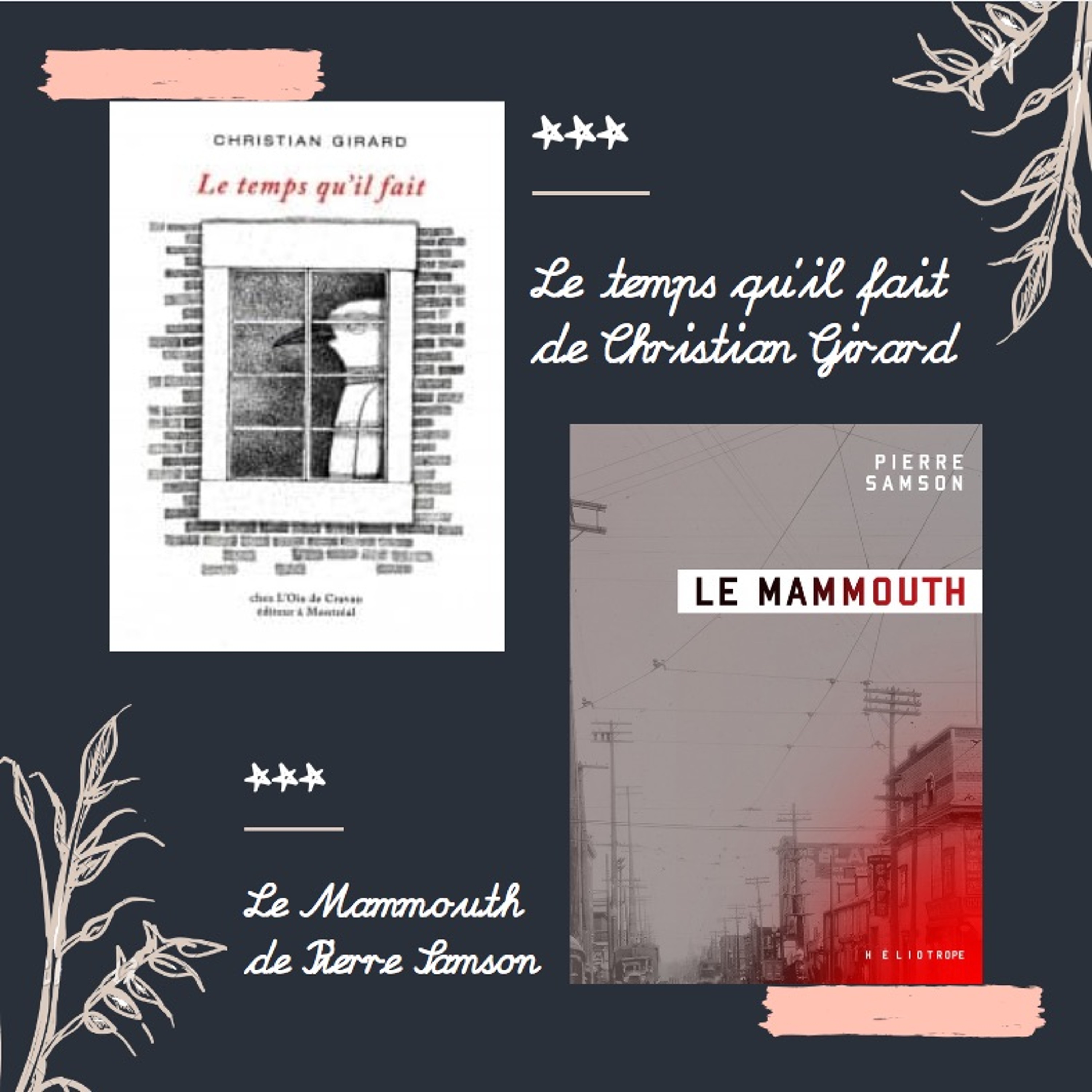 LITTÉRATURE | Présentation de deux livres vacances par Bärbel Reinke episode artwork