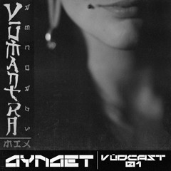 AYNAET - Vūdcast 001