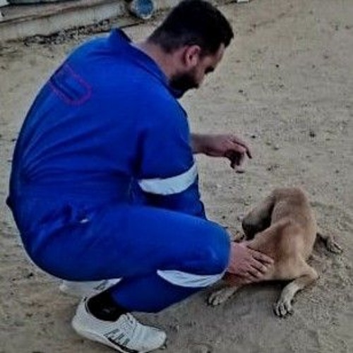 تراك موبايلى 🎵🦅