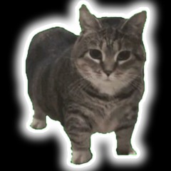 Ooiiaio Cat (Arsthom Remix)