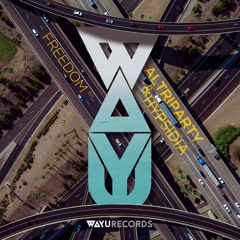 PREMIERE: Altriparty & Hypsidia - Freedom (Nathan Hall Remix) [WAYU Records]