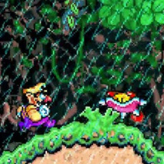 FLP+ - Water Goddess Mitula - Sonic.EYX Crystal Lake Zone  - Wario Land 4 SF2 Cover