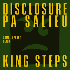 Disclosure - King Steps (samplik prost remix)