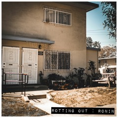 Rotting Out "Vessel"