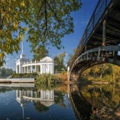 «Не все, что произошло в школе, должно там остаться»: полиция Кривого Рога расследует изнасилование школьницы учителем
