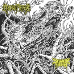 Doom Metal | Sludge Metal | Death Metal | Black Metal