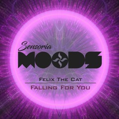 Felix The Cat - Falling For You (Original Mix)