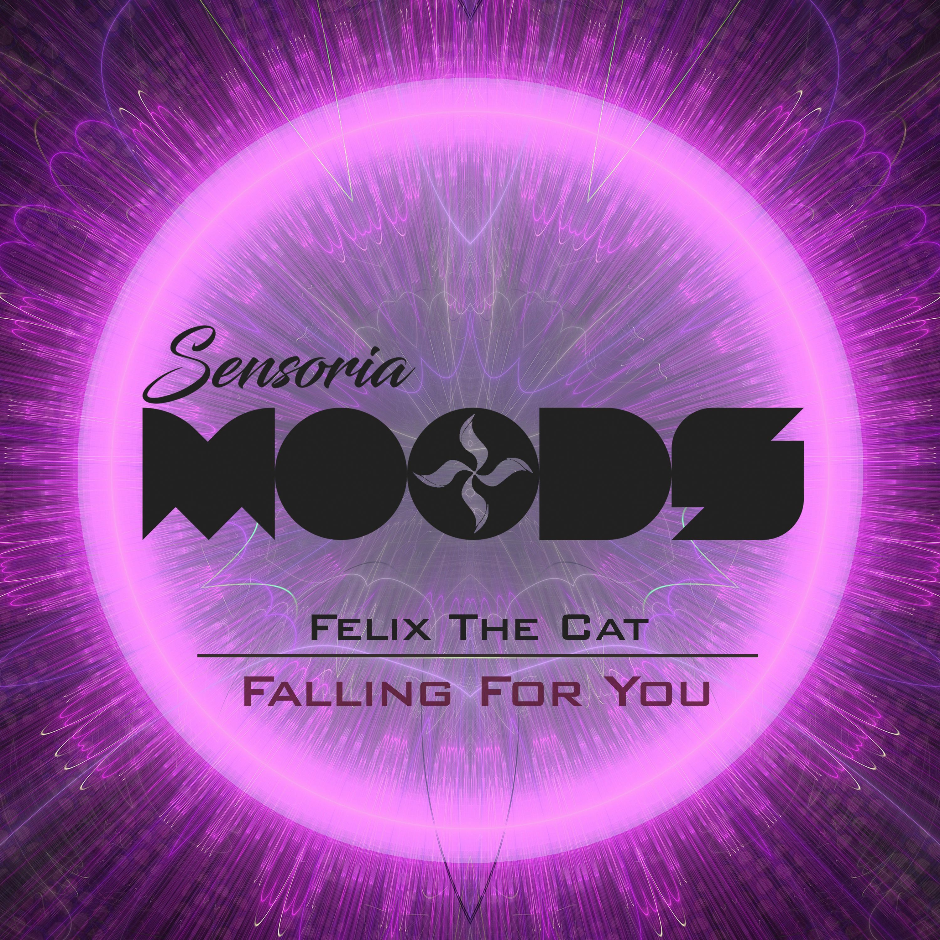 Felix The Cat - Falling For You (Original Mix) episode artwork