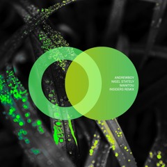 Manitou (Insiders Remix)