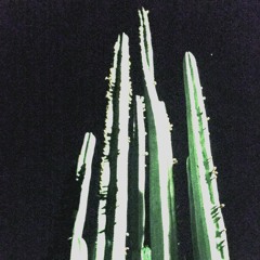 RAGE AGAINST THE DYING OF THE LIGHT (DEM0)