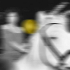 point of view / PREview