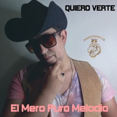 QUIERO VERTE (Version Acústica)