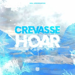 Crevasse Hoar (SGTS2023)