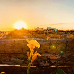 Not Even Thought 2025